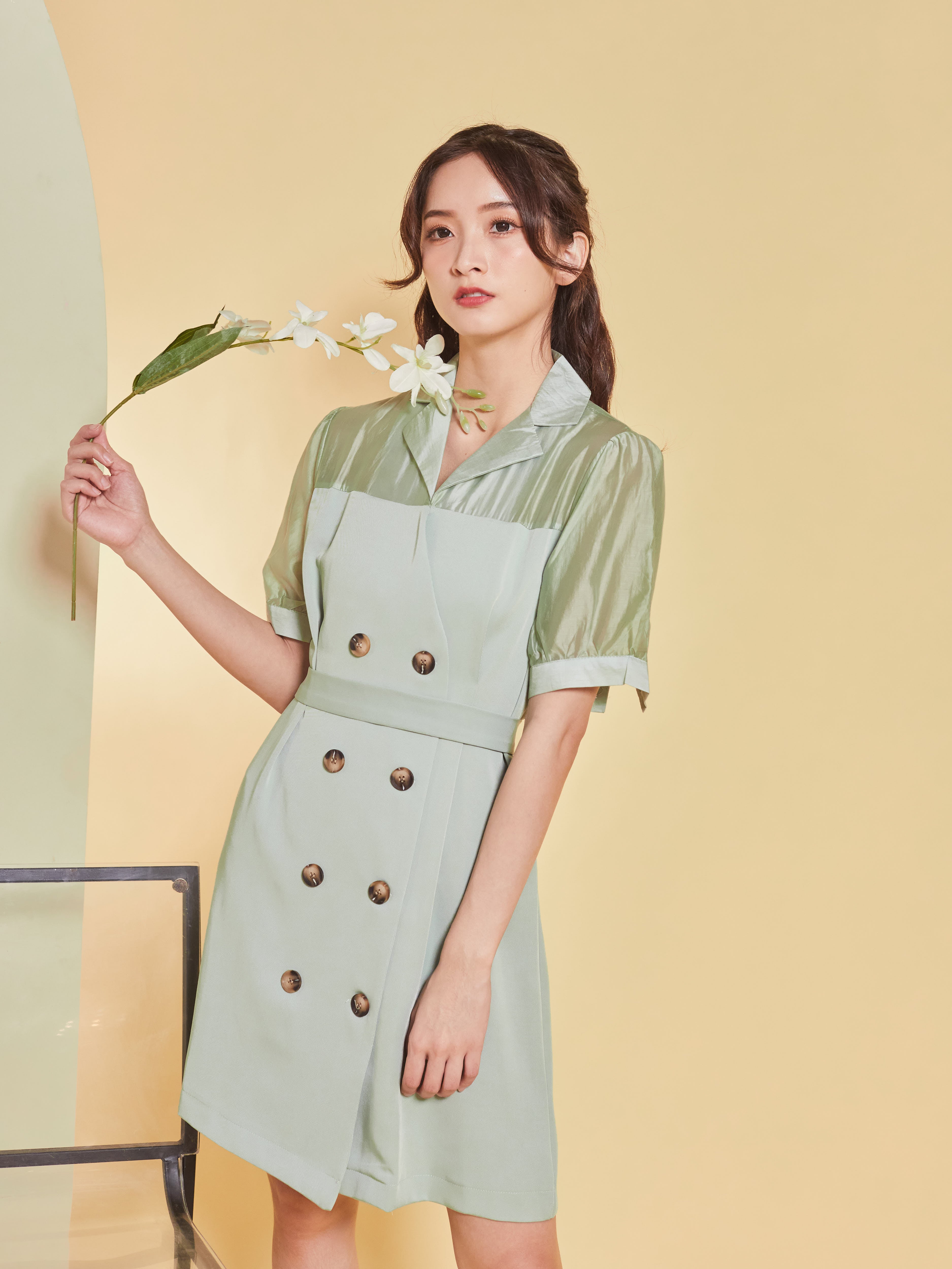 Olivia Dress-MInt Green (7313427792023)